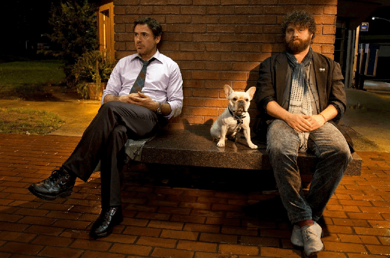Due Date (2010)